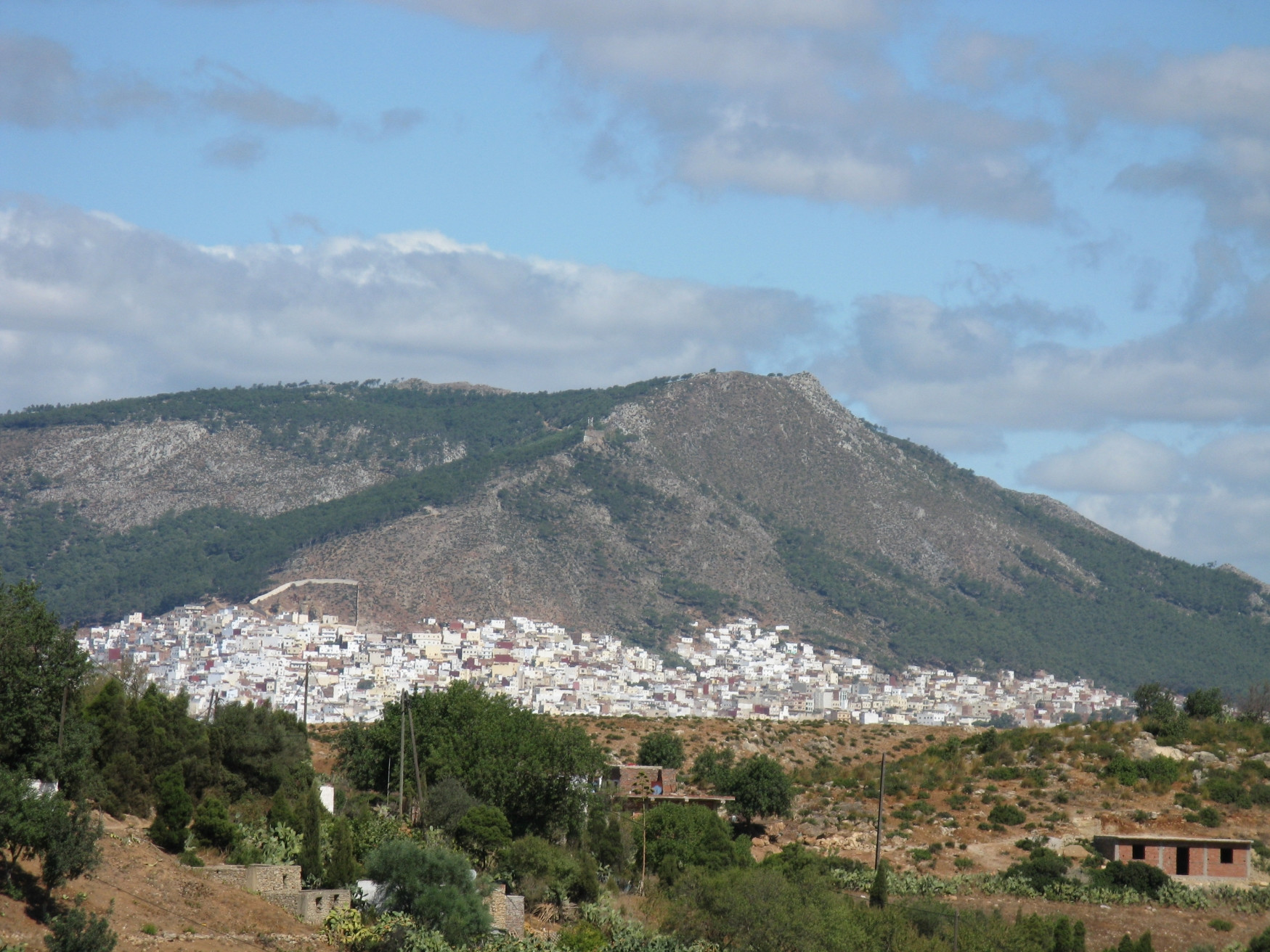 Тетуан, Марокко, фото № 8216 – фотографии Марокко