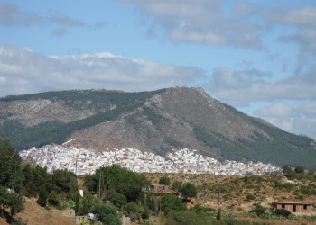 Тетуан, Марокко, фото № 8216 – фотографии Марокко