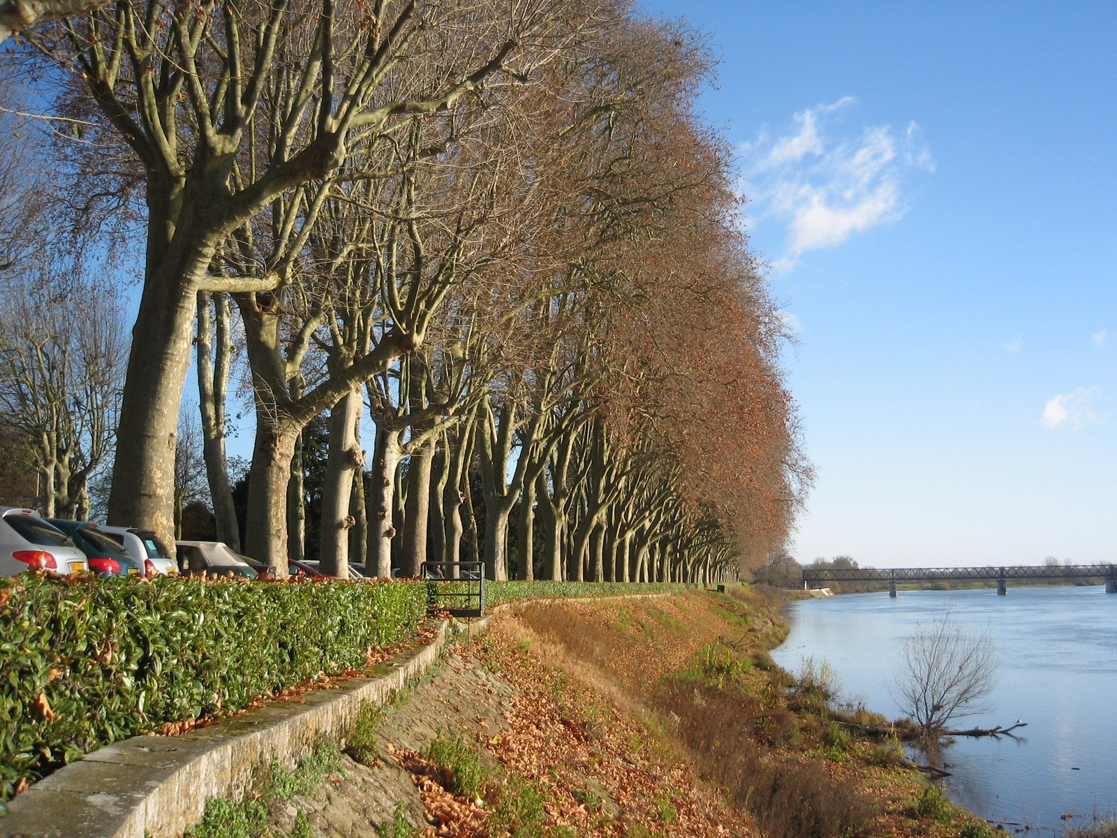 Река в Шиноне, Франция. Фото 3 – фотографии Франции