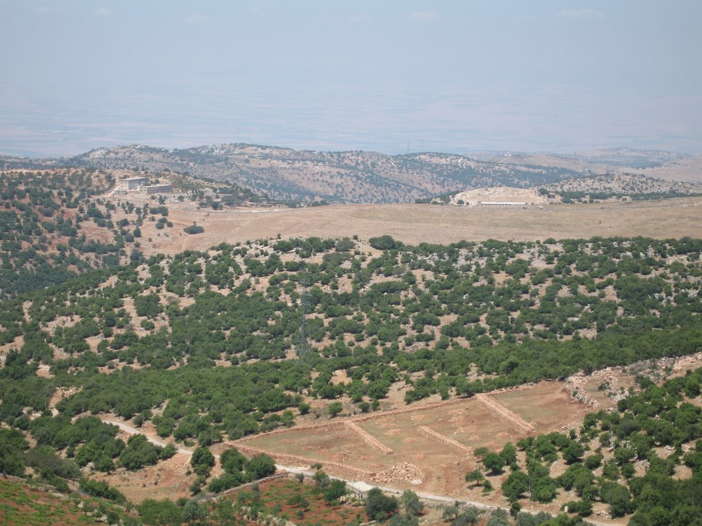 Аджлун, Иордания, фото № 35984 – фотографии Иордании