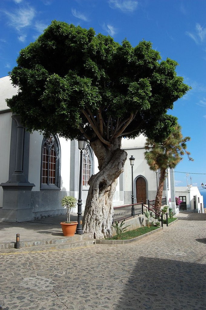 Агуло, Ла-Гомера остров, Канарские острова, фото № 31539 – фотографии Канарских островов