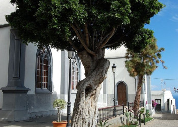 Агуло, Ла-Гомера остров, Канарские острова, фото № 31539 – фотографии Канарских островов