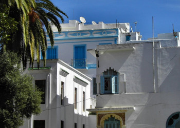 Тетуан, Марокко, фото № 8165 – фотографии Марокко