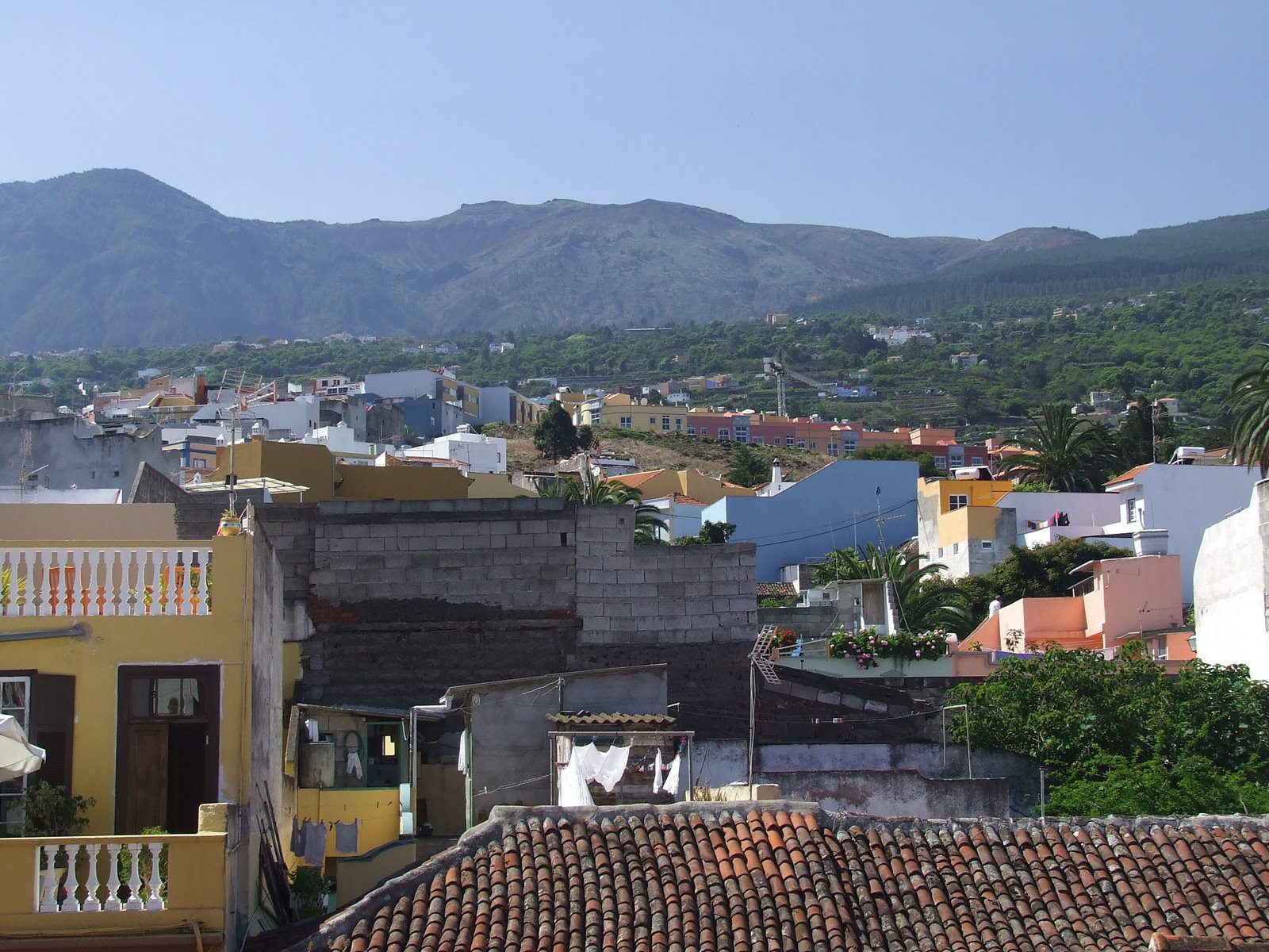 Ла-Оротава, Тенерифе остров, Канарские острова, фото № 33308 – фотографии Канарских островов