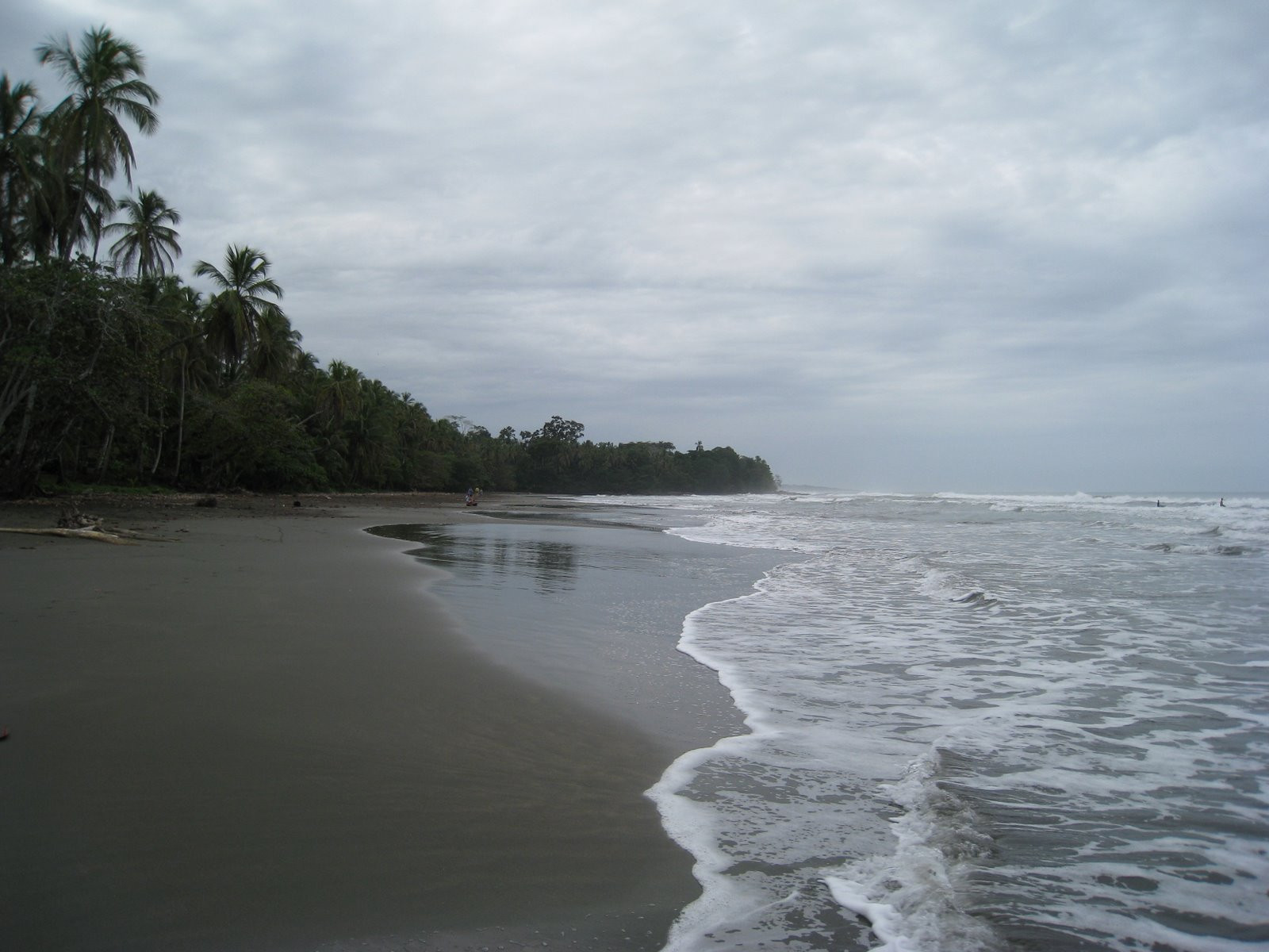 Кауита, Лимон провинция, Коста-Рика, фото № 40066 – фотографии Коста-Рики