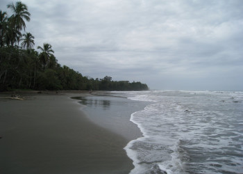 Кауита, Лимон провинция, Коста-Рика, фото № 40066 – фотографии Коста-Рики