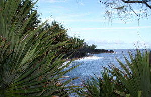 Сен-Филипп (Saint-Philippe) на юго-востоке острова Реюньон – фотографии Реюньона