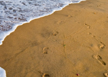 Негомбо, Шри-Ланка, фото № 51960 – фотографии Шри-Ланки