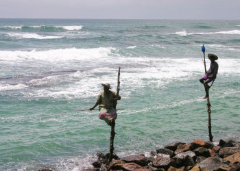 Велигама, Шри-Ланка, фото № 50827 – фотографии Шри-Ланки