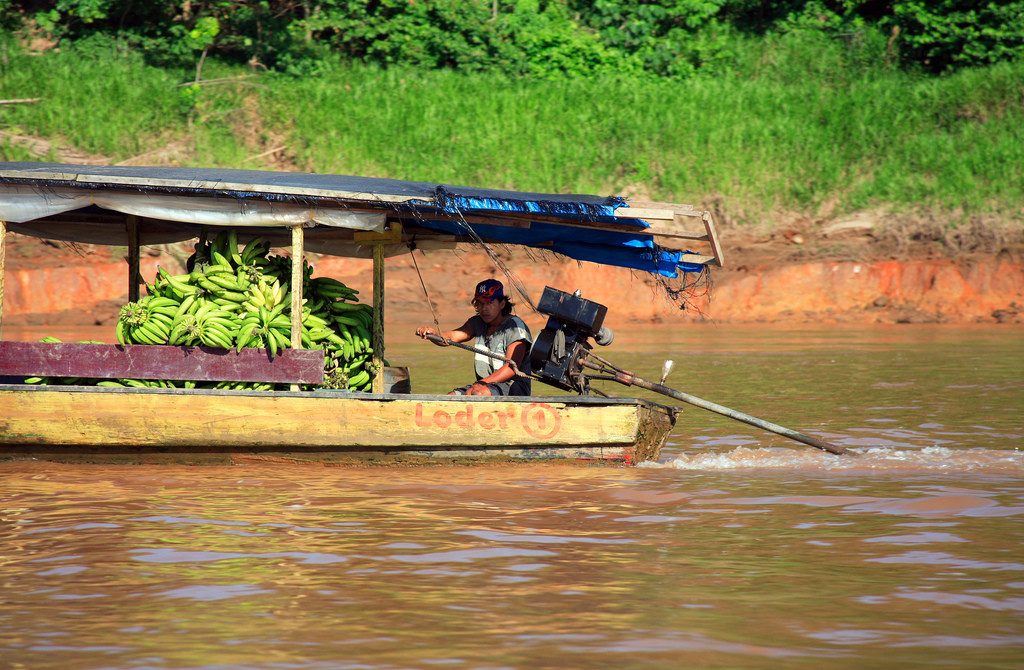 Заповедник Тамбопата (Tambopata National Reserve) – фотографии Перу