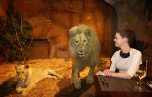 Канберра, отель-зоопарк Jamala Wildlife Lodge. Фото 1 – фотографии Австралии