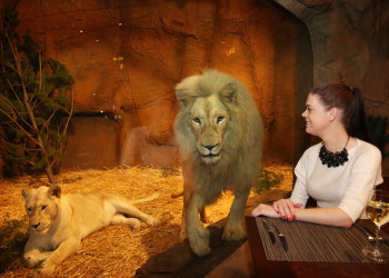 Канберра, отель-зоопарк Jamala Wildlife Lodge. Фото 1 – фотографии Австралии