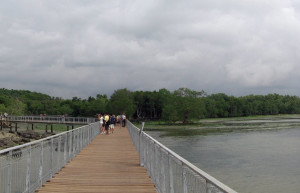 Пулау-Убин остров, Сингапур, фото № 77736 – фотографии Сингапура