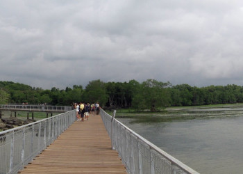 Пулау-Убин остров, Сингапур, фото № 77736 – фотографии Сингапура