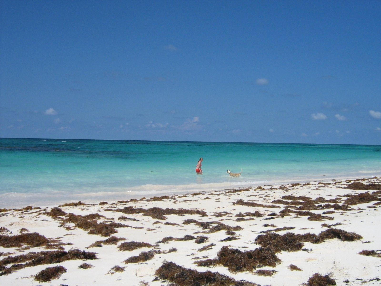 Море на острове Эльютера, Багамские острова. Фото 19 – фотографии Багамских островов