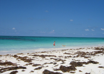 Море на острове Эльютера, Багамские острова. Фото 19 – фотографии Багамских островов