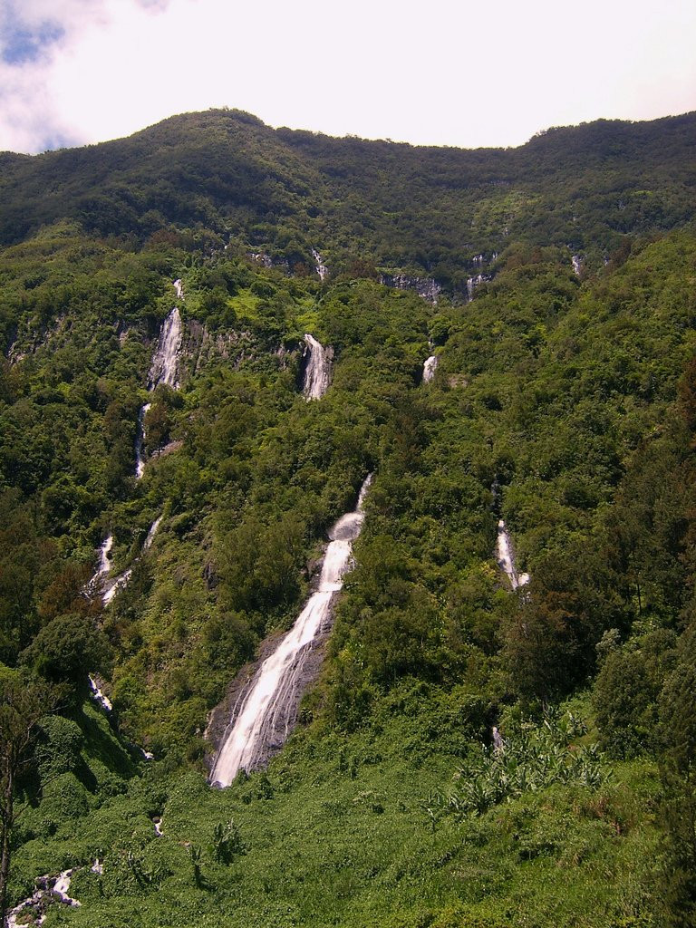 Салази, Реюньон, фото № 25816 – фотографии Реюньона