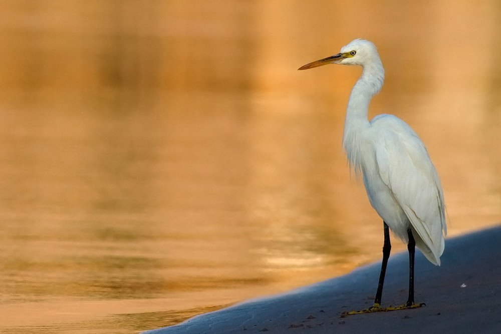 Дахаб, Египет, фото № 34974 – фотографии Египта