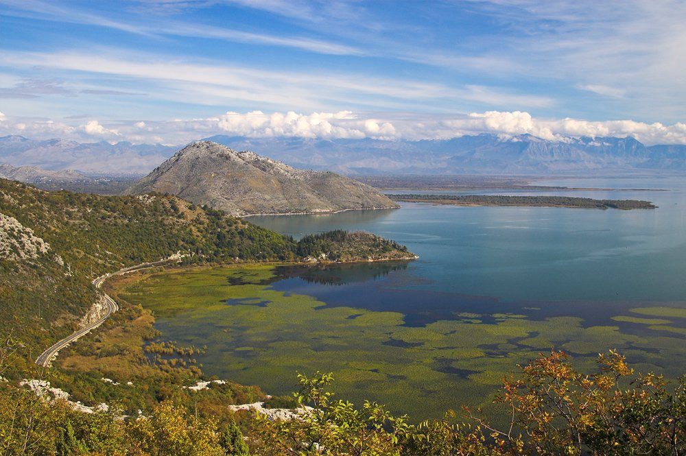 Скадарское озеро, Черногория. Фото 32 – фотографии Черногории