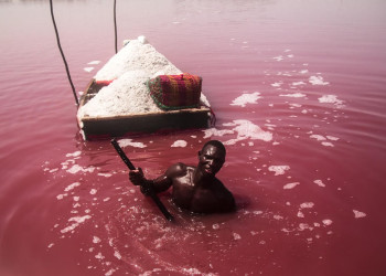 Розовое озеро в Сенегале 7 – фотографии Сенегала