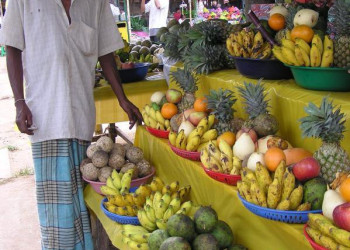 Ратнапура, Шри-Ланка, фото № 52209 – фотографии Шри-Ланки