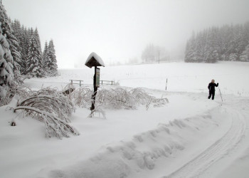 Есеник, Чехия, фото № 68763 – фотографии Чехии