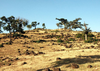 Бесконечная равнина – фотографии Эфиопии