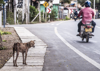 Город Джафна (Jaffna) на севере острова Шри-Ланка. Фото 1 – фотографии Шри-Ланки