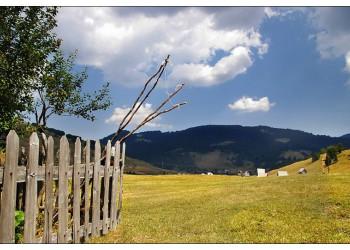 Национальный парк, Черногория. Фото 31 – фотографии Черногории