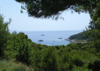 Берега на острове Лопуд, Хорватия. Фото 6 – фотографии Хорватии