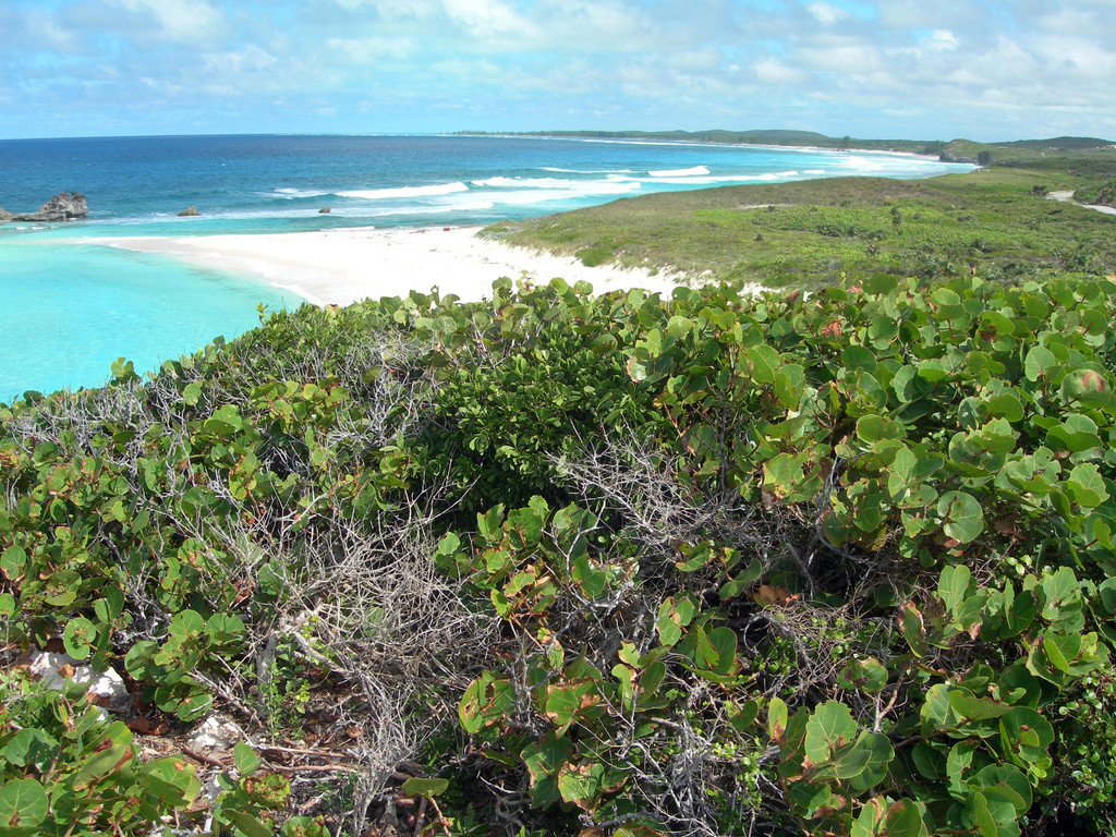 Мидл-Кайкос – фотографии Тёркс и Кайкос