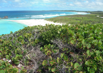 Мидл-Кайкос – фотографии Тёркс и Кайкос