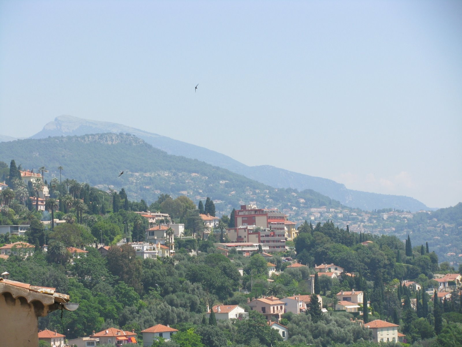 Природа в Грасс, Франция – фотографии Франции