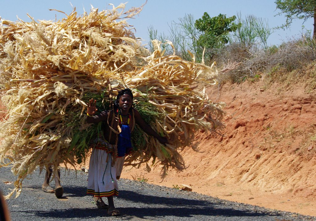 Женщина. Фото 6 – фотографии Эфиопии