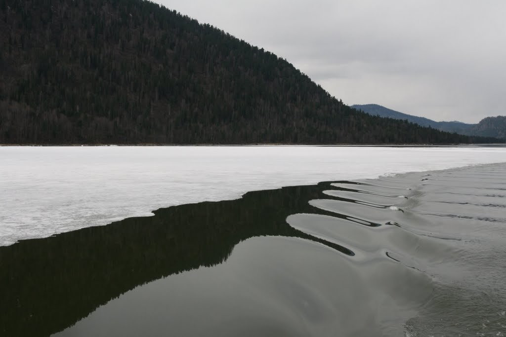 Телецкое озеро, Россия. Фото 13 – фотографии России