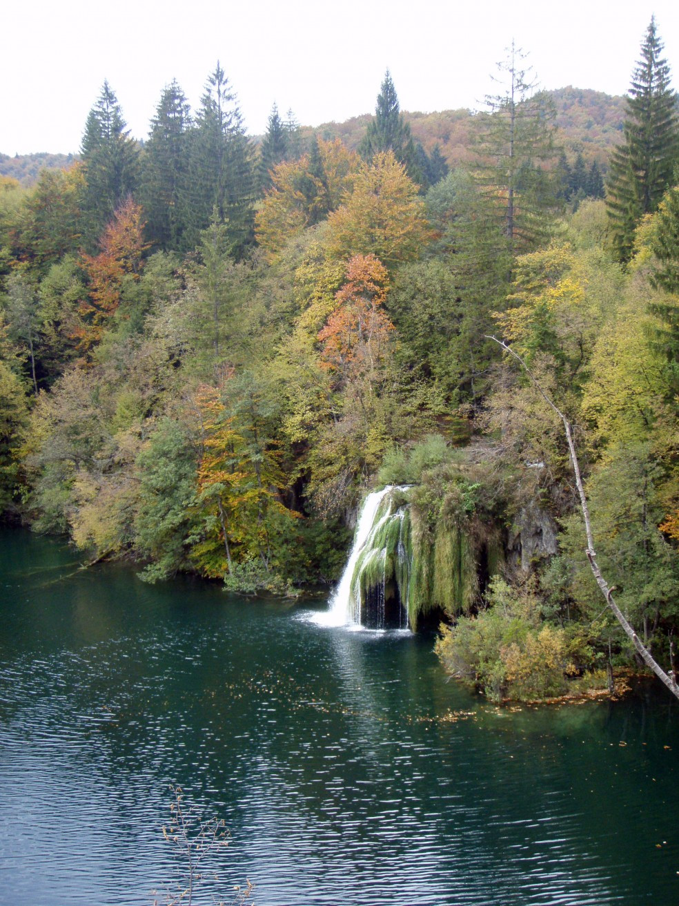 Природа в Национальном парке, Хорватия. Фото 13 – фотографии Хорватии