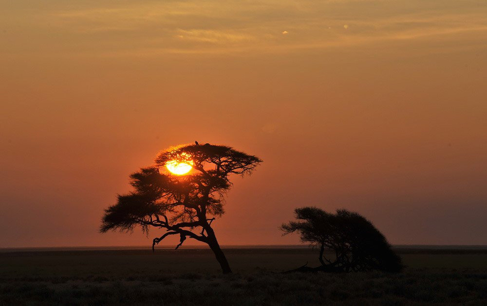 Namibia – фотографии Намибии