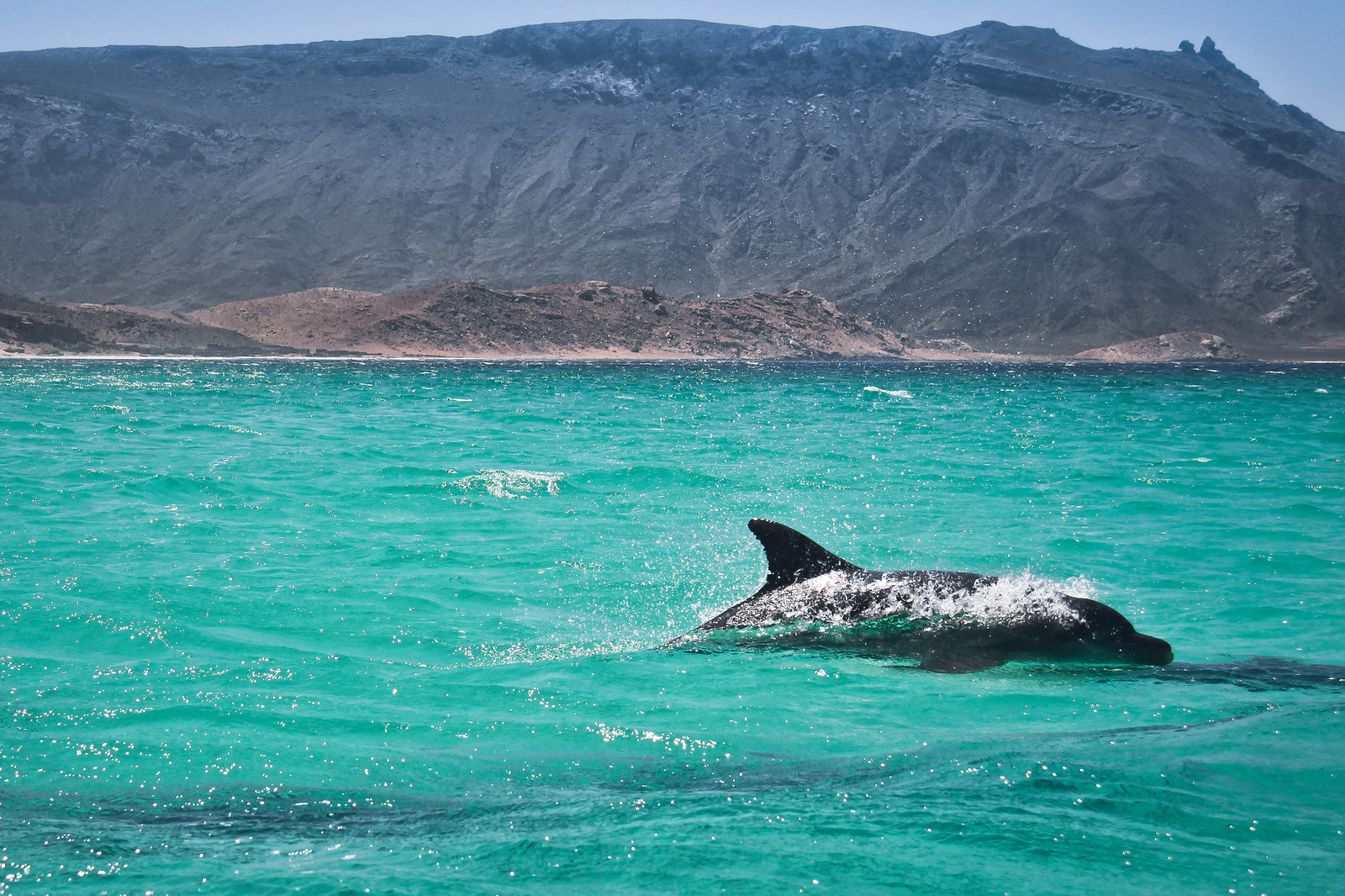 Остров Сокотра в Индийском океане у берегов Сомали. Фото 1 – фотографии Йемена