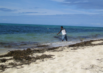Нанyйя Лайлай остров, Ясава группа островов, Фиджи, фото № 50292 – фотографии Фиджи
