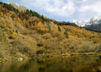 Природа в Домбае, Россия – фотографии России