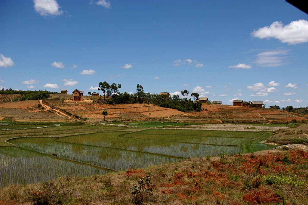 Мадагаскар, фото № 2195 – фотографии Мадагаскара