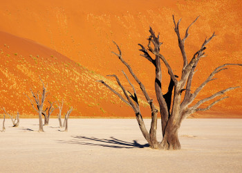 Пустыня Намиб (Namib Desert). Фото 3 – фотографии Намибии