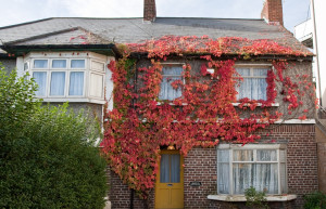 Дублин, Ирландия, фото № 74244 – фотографии Ирландии