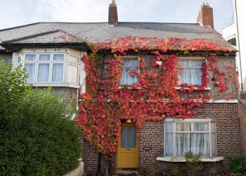 Дублин, Ирландия, фото № 74244 – фотографии Ирландии