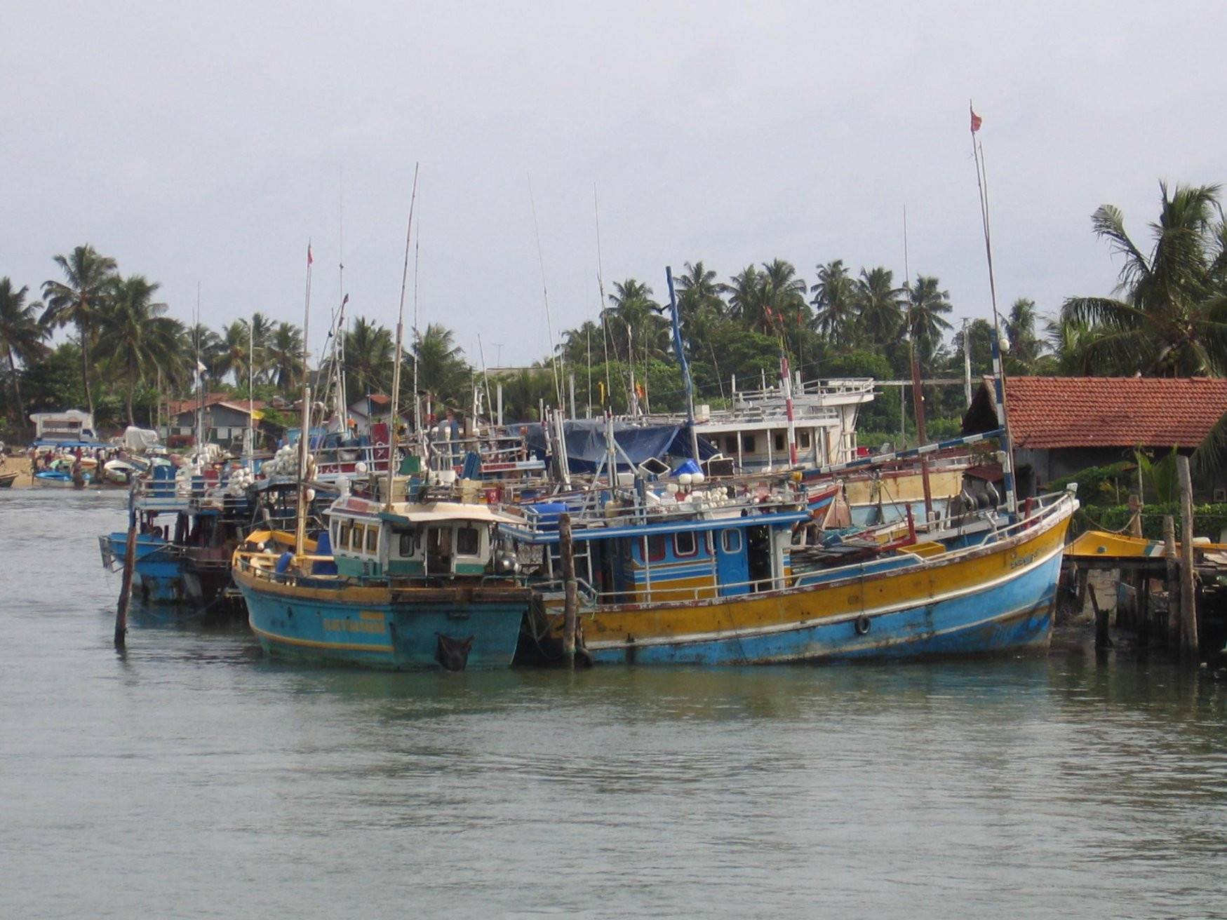 Негомбо, Шри-Ланка, фото № 52001 – фотографии Шри-Ланки