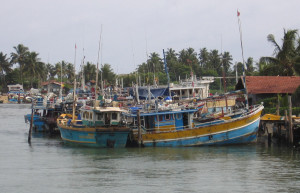 Негомбо, Шри-Ланка, фото № 52001 – фотографии Шри-Ланки