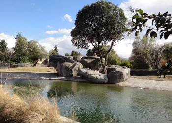 Парк Аламеда (Parque Alameda). Фото 6 – фотографии Мексики