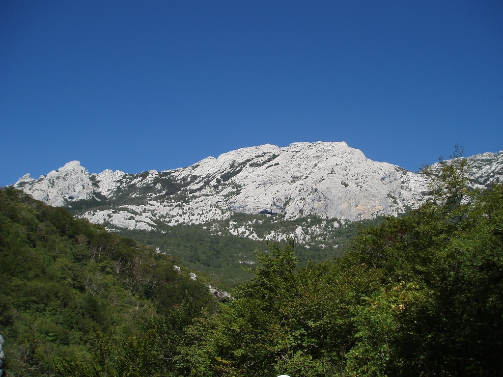 Природа в Пакленица, Хорватия. Фото 14 – фотографии Хорватии