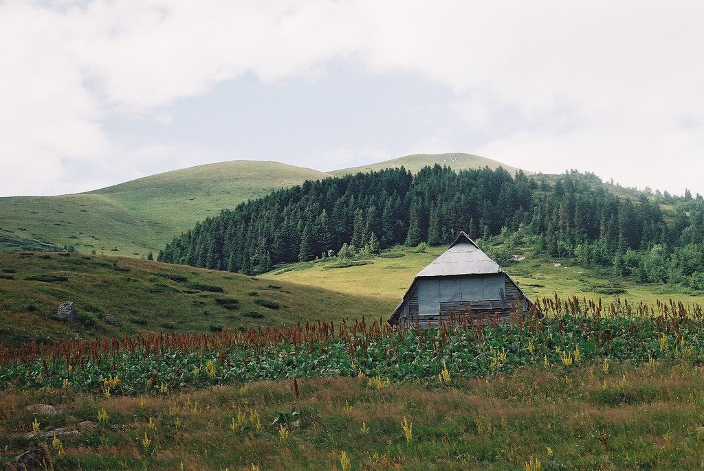 Природа Национального парка, Черногория. Фото 18 – фотографии Черногории