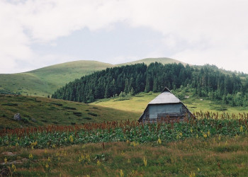 Природа Национального парка, Черногория. Фото 18 – фотографии Черногории